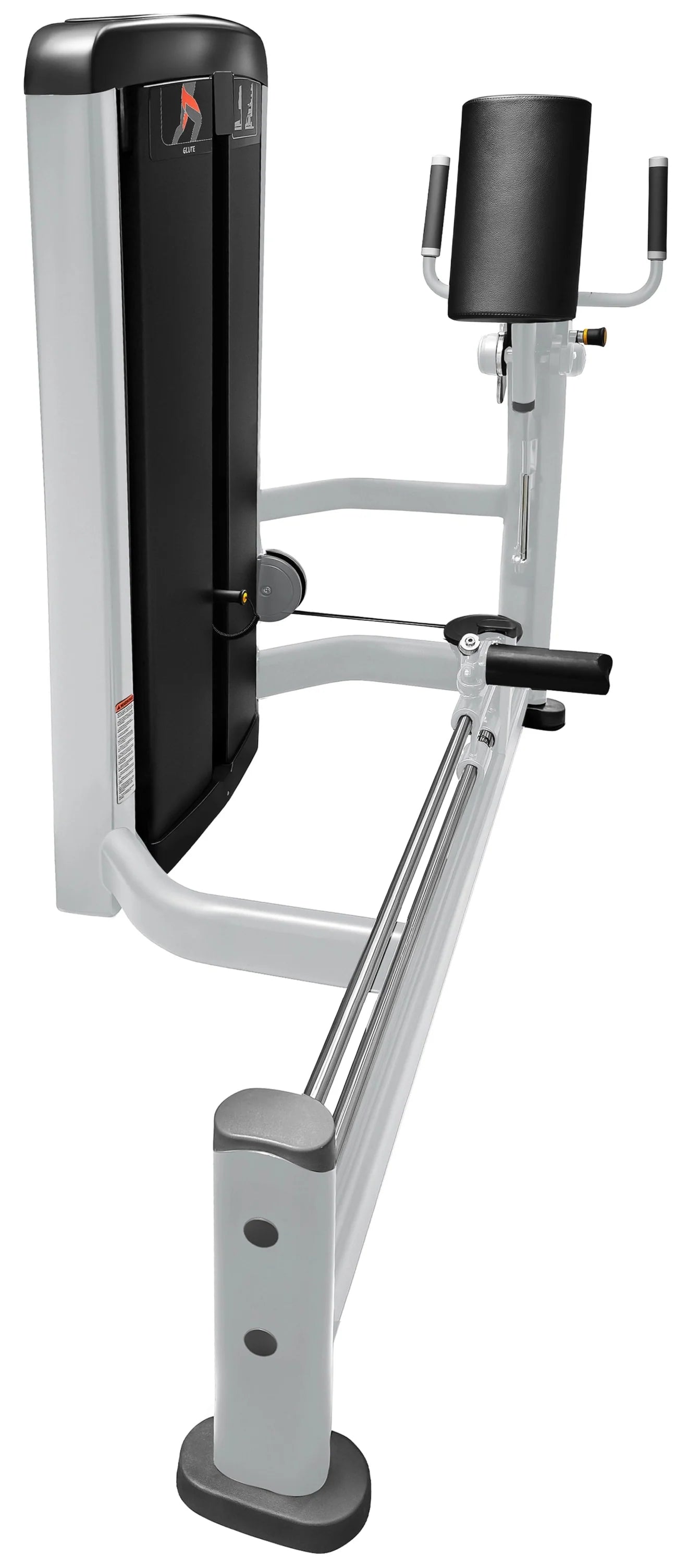 French Fitness Vail Glute Machine (New)