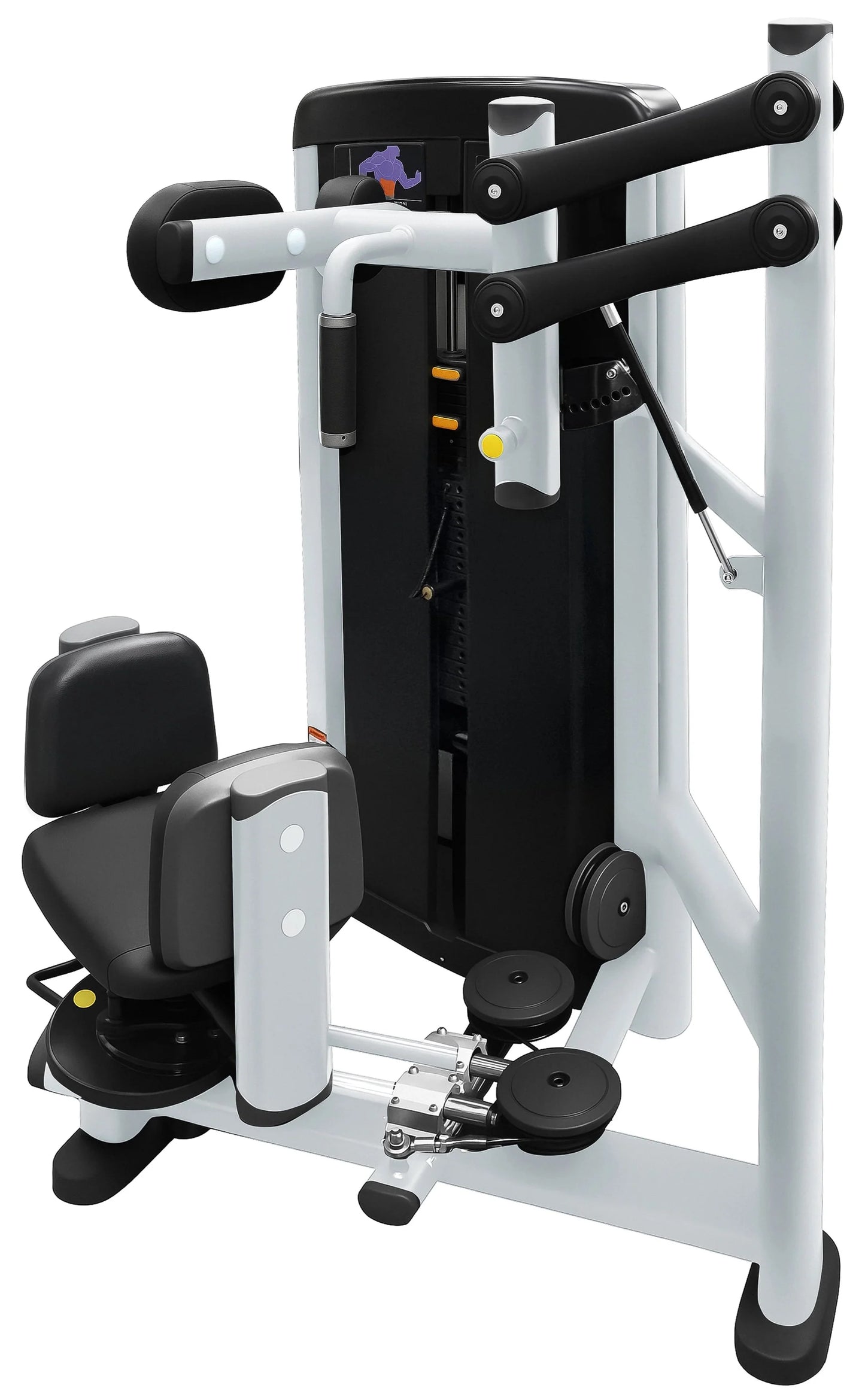 French Fitness Vail Torso Rotation (New)