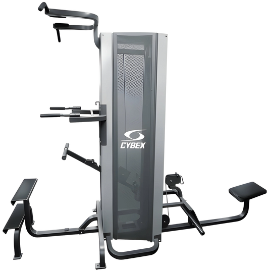 Cybex Dual Standing Chin Dip Assist / Seated Row (Remanufactured)