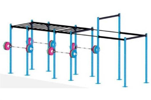 French Fitness Free Standing Rig 4 (New)