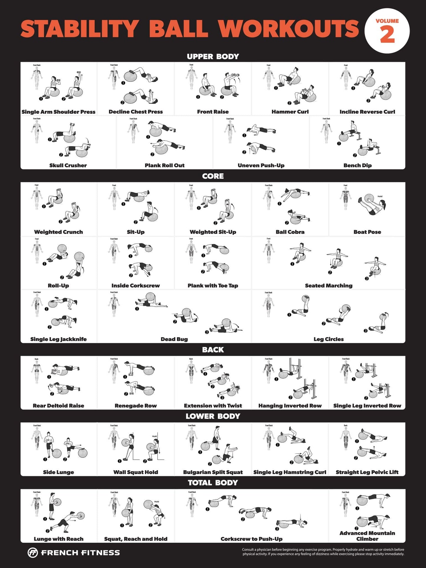 French Fitness Stability Ball Workout Training Charts / Posters (New)