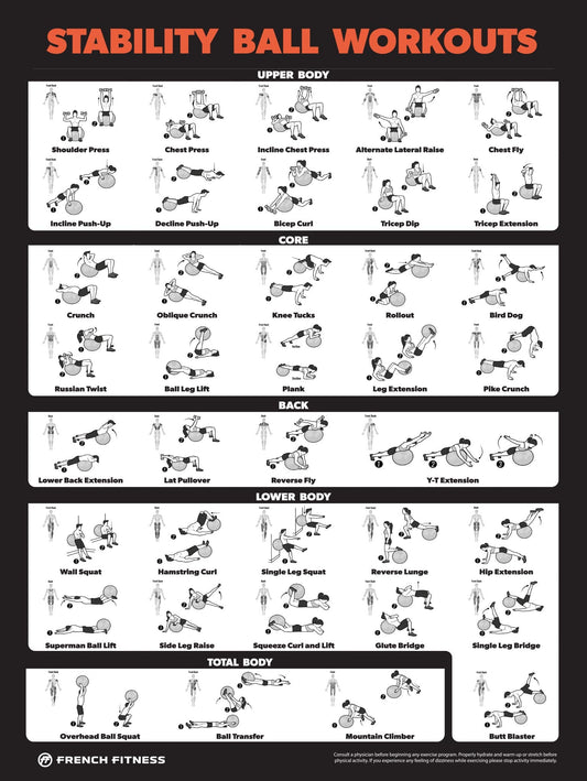 French Fitness Stability Ball Workout Training Charts / Posters (New)